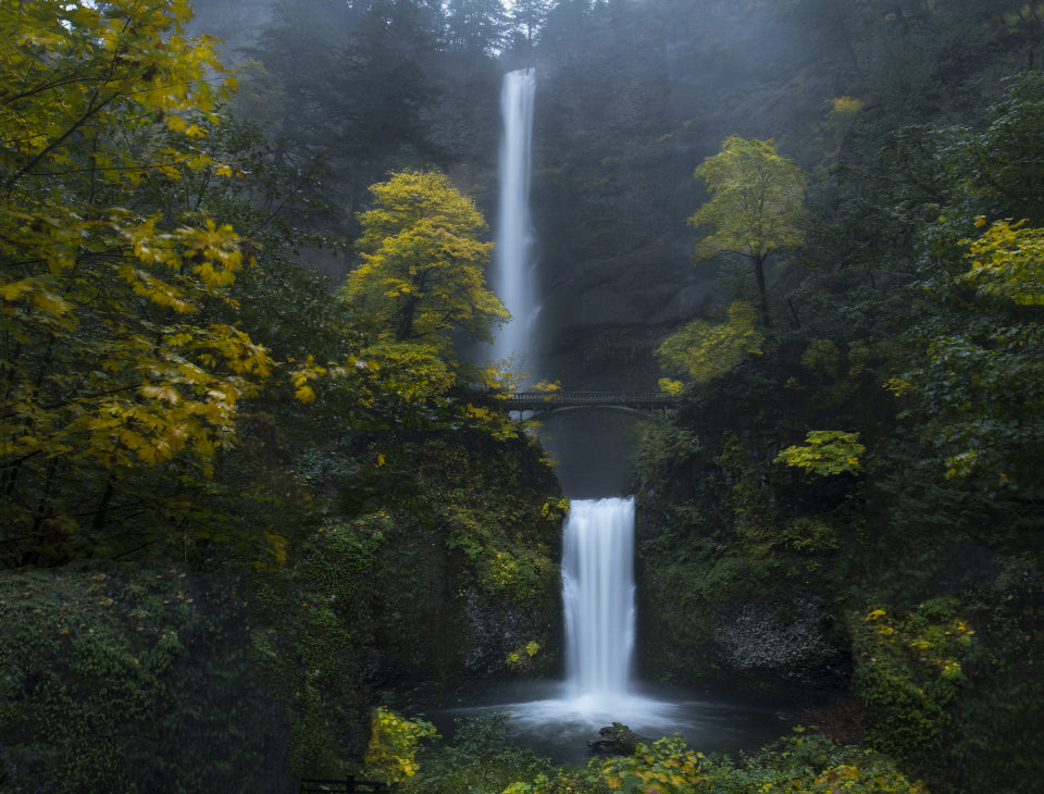 A natural waterfall and stream in a green landscape