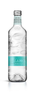 Sant Aniol Rocks Still Mineral Water — 500 ml Glass