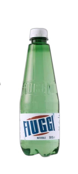 Fiuggi Still Spring Water — 500 ml PET
