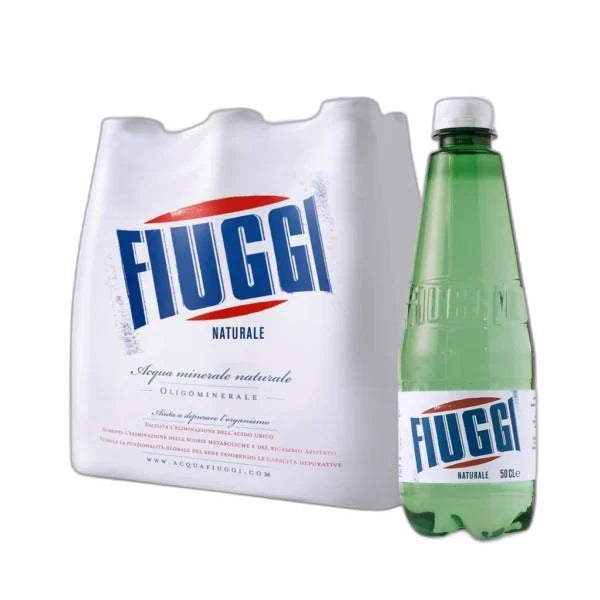 Fiuggi Still Spring Water — 500 ml PET