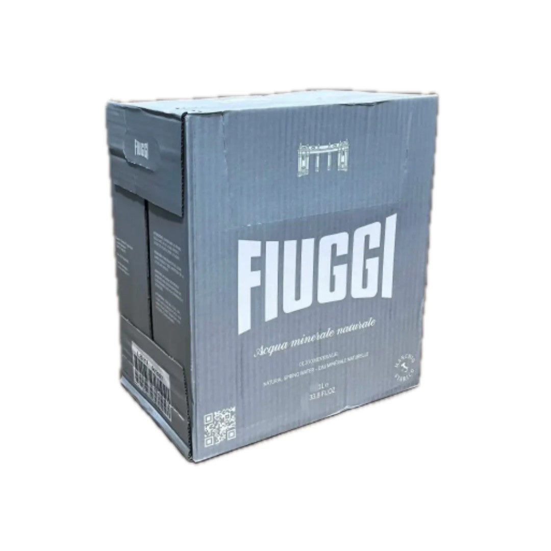 Fiuggi Natural Mineral Water — 1 L Glass