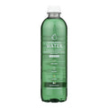 Chlorophyll Water Chlorophyll Purified Water 16.9 oz